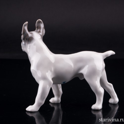 Бостонский терьер, Royal Copenhagen, Дания, 1960 г