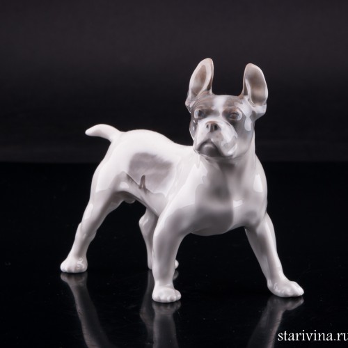 Бостонский терьер, Royal Copenhagen, Дания, 1960 г