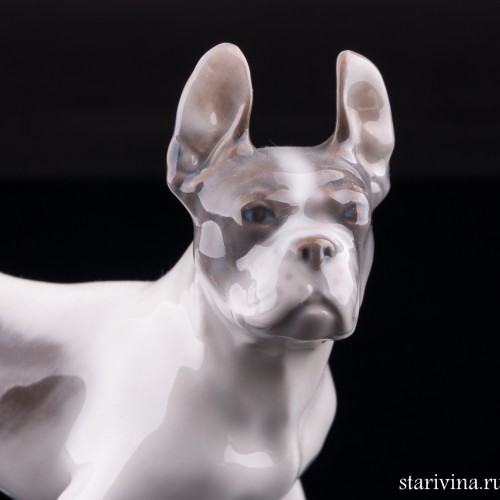 Бостонский терьер, Royal Copenhagen, Дания, 1960 г