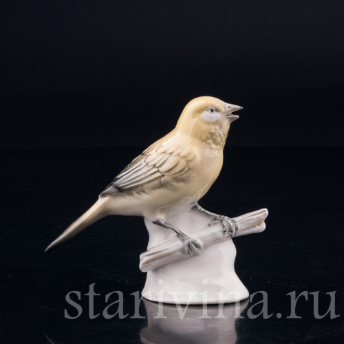 Канарейка, Volkstedt, Германия