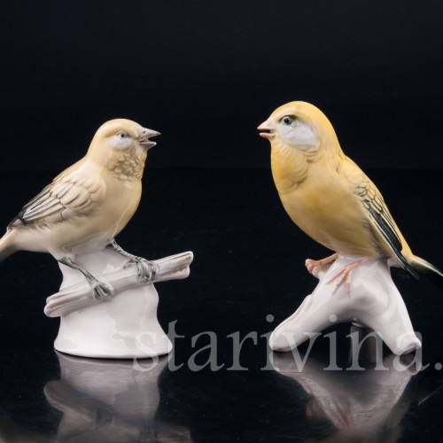 Канарейка, Volkstedt, Германия