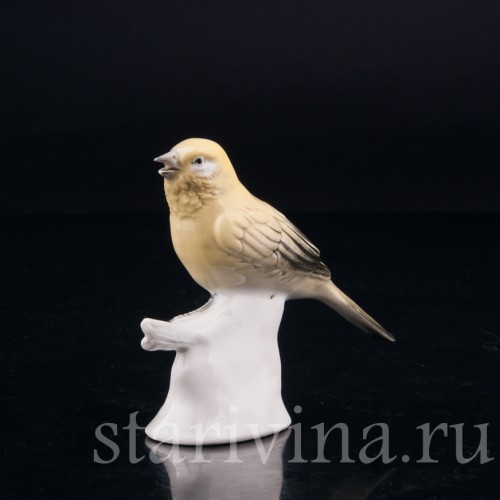 Канарейка, Volkstedt, Германия