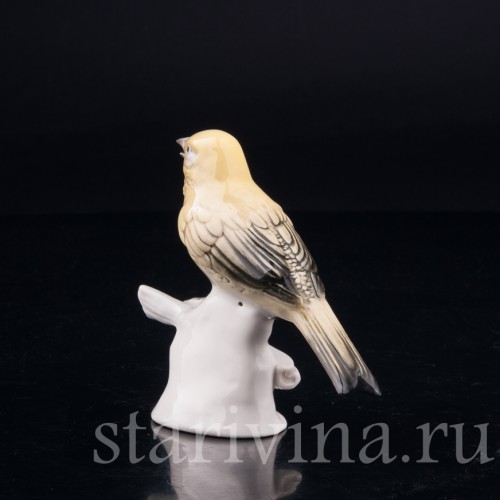 Канарейка, Volkstedt, Германия