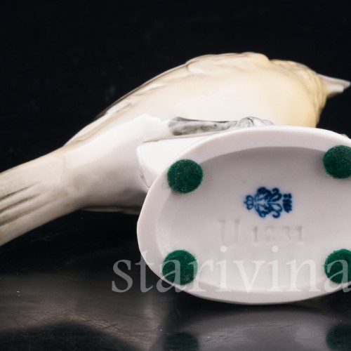 Канарейка, Volkstedt, Германия