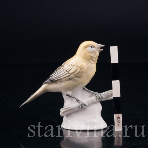 Канарейка, Volkstedt, Германия