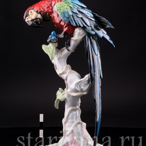 Статуэтка птицы из фарфора Попугай Ара, Rosenthal, Германия, 1970 гг.