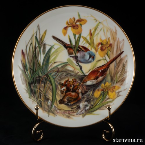 Праздничное утро усатых синиц, Hutschenreuther, Германия