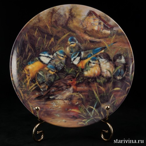 Купание малиновки, Seltmann Weiden, Германия