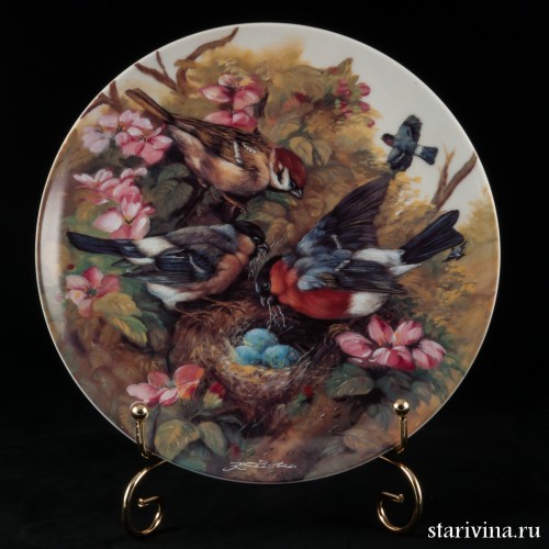 Снегири вьют гнездо, Seltmann Weiden, Германия