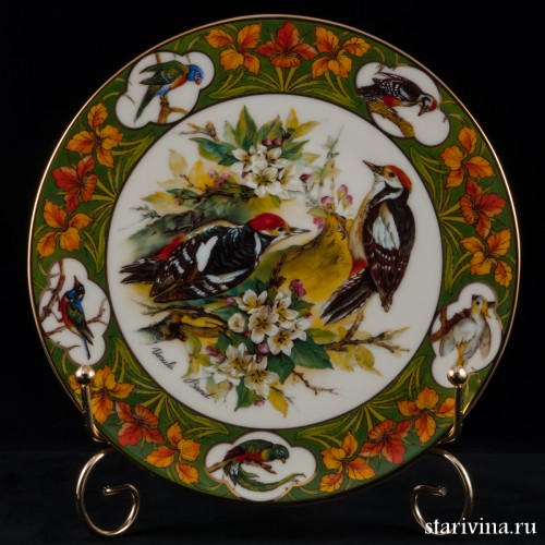 Дятлы между цветами яблони, Schirnding, Германия