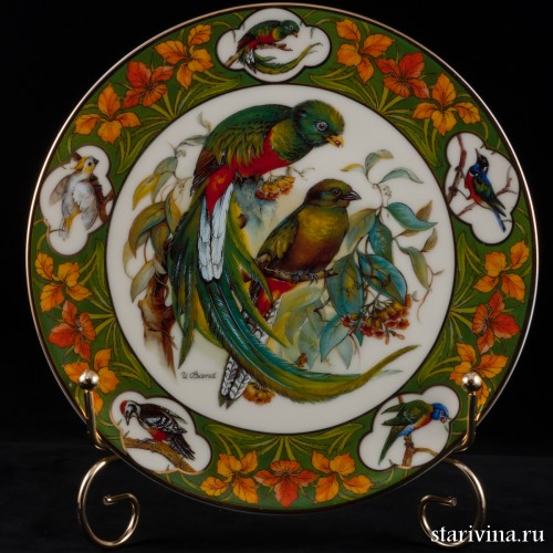 Райские птицы в ветвях катальпы, Schirnding, Германия