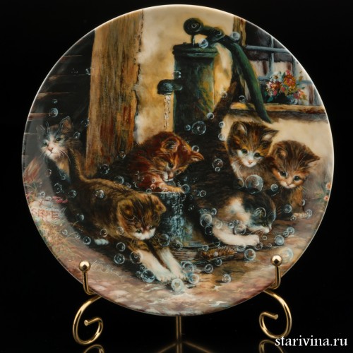 Пенное веселье, Seltmann Weiden, Германия