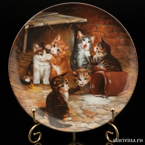 Злоключение, Seltmann Weiden, Германия