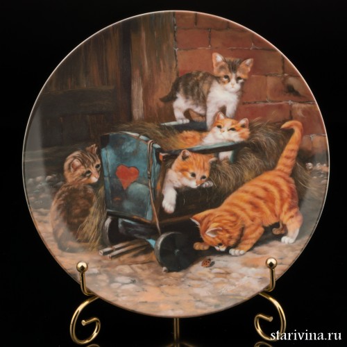 Давние друзья, Seltmann Weiden, Германия