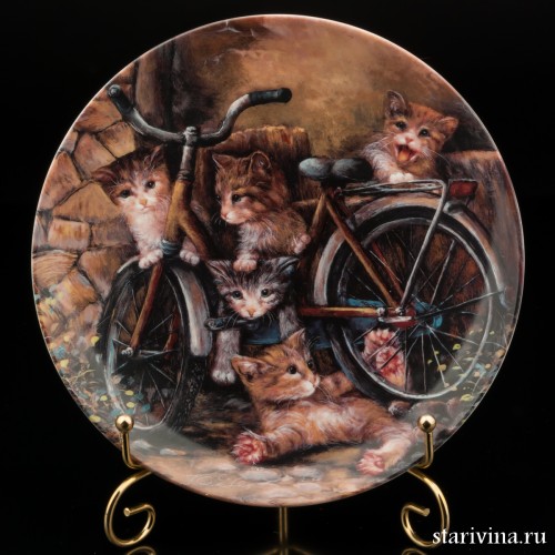 Велосипедисты, Seltmann Weiden, Германия