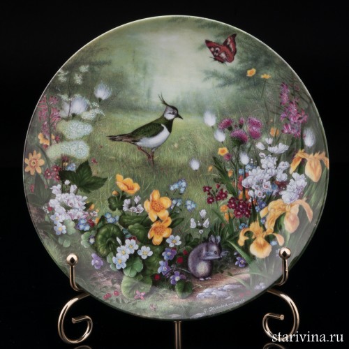 Пробуждение на лугу, Furstenberg, Германия