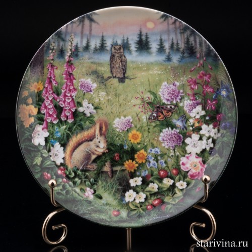 Сумерки на лесной поляне, Furstenberg, Германия