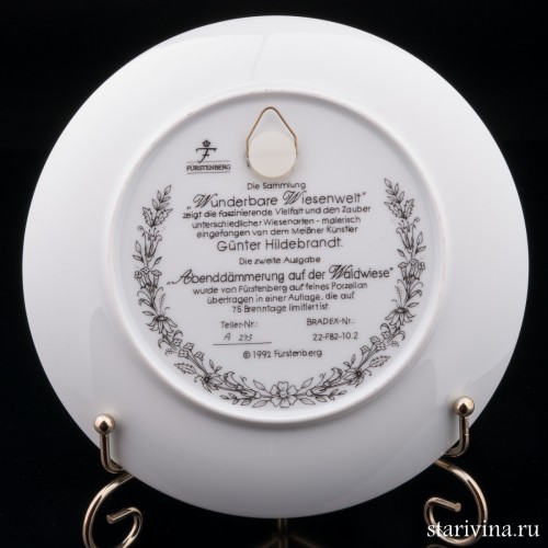 Сумерки на лесной поляне, Furstenberg, Германия