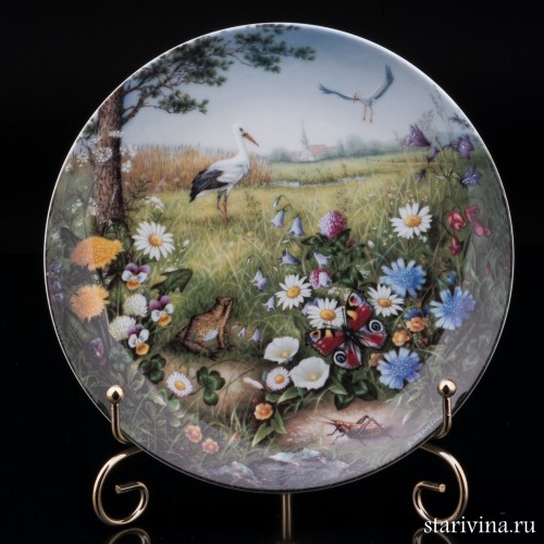 Прилет журавлей на луг, Furstenberg, Германия