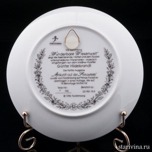 Прилет журавлей на луг, Furstenberg, Германия