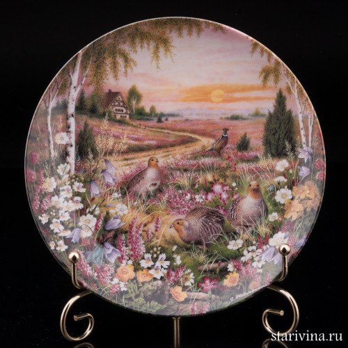 Утренняя прогулка на пустоши, Furstenberg, Германия