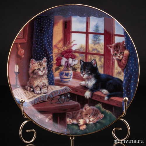 На подоконнике, Kahla, Германия