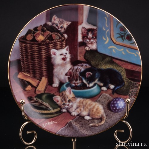 У миски с едой, Kahla, Германия