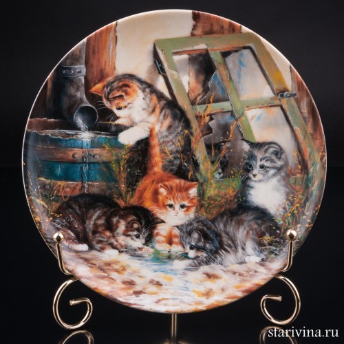 Водные игры, Seltmann Weiden, Германия