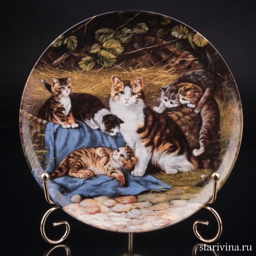 Под присмотром, Seltmann Weiden, Германия