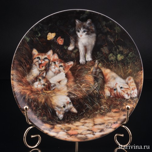 Неожиданный визит, Seltmann Weiden, Германия