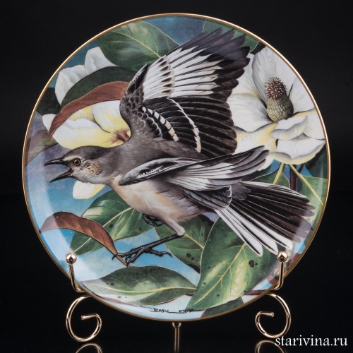 Пересмешник, Limoges, Франция, 1984 г