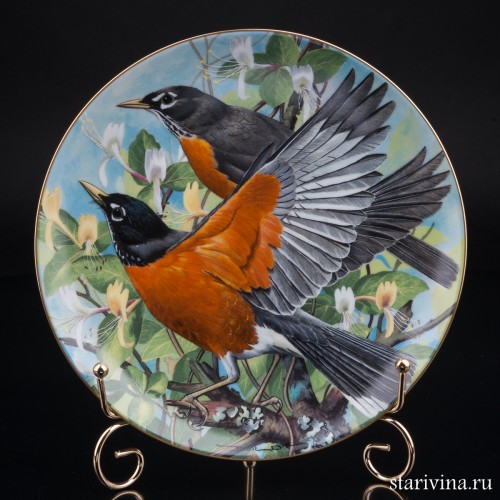 Странствующий дрозд, Limoges, Франция, 1984 г