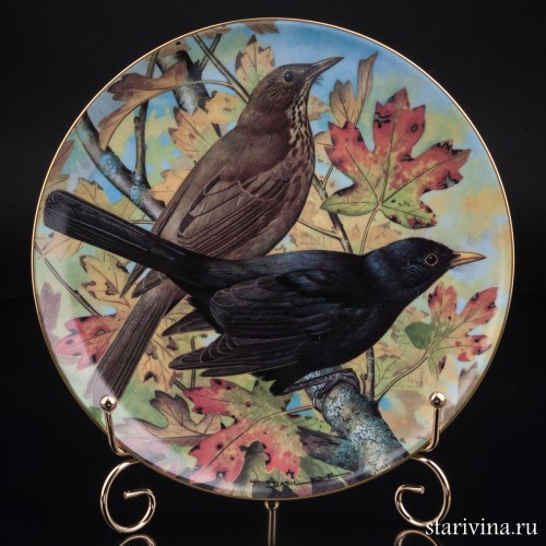 Черный дрозд, Limoges, Франция, 1984 г