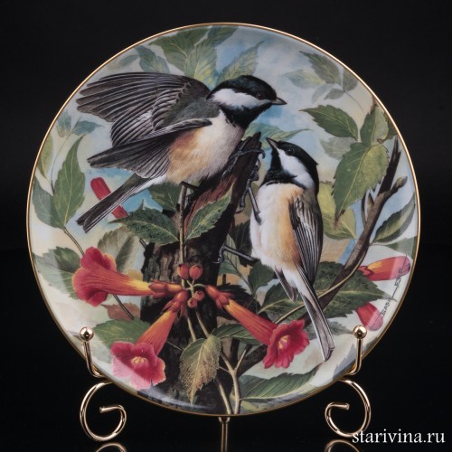 Черноголовая гаичка, Limoges, Франция, 1984 г