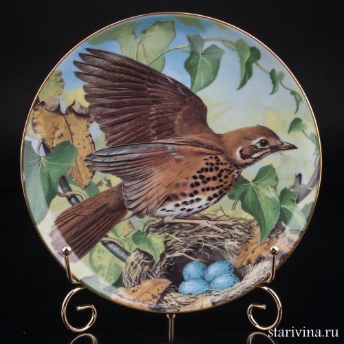 Певчий дрозд, Limoges, Франция, 1984 г