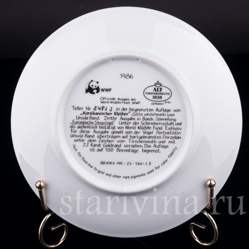 Корсиканский поползень, Tirschenreuth, Германия