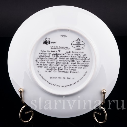 Большая синица, Tirschenreuth, Германия