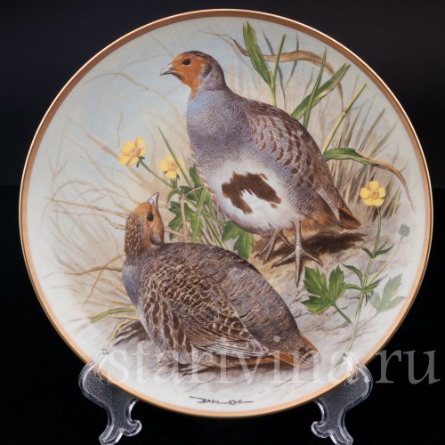 Две декоративные фарфоровые тарелки Дикие птицы мира, Limoges, Франция, 1979 г.