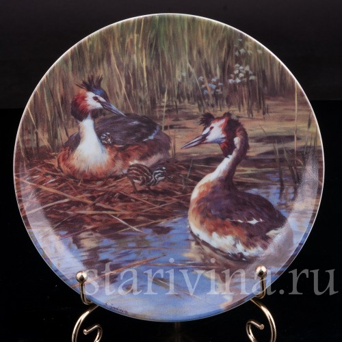 Декоративная фарфоровая тарелка Кокетливые чомги, Ottlinger Porzellan, Германия, 1995 г.