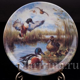 Декоративная фарфоровая тарелка Красочные утки, Ottlinger Porzellan, Германия, 1995 г.