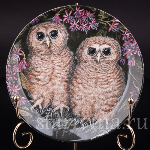 Декоративная тарелка из фарфора Птенцы африканской циккабы, Wedgwood, Великобритания, кон. 20 в.