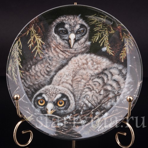 Декоративная тарелка из фарфора Птенцы бородатой неясыти, Wedgwood, Великобритания, кон. 20 в.