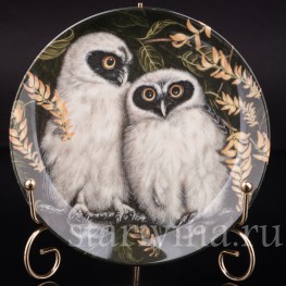 Декоративная тарелка из фарфора Птенцы очковой совы, Wedgwood, Великобритания, кон. 20 в.