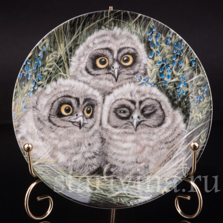Декоративная тарелка из фарфора Птенцы болотной совы, Wedgwood, Великобритания, кон. 20 в.