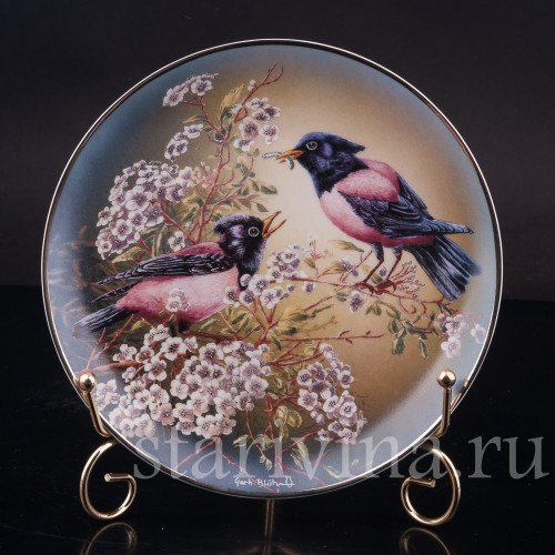 Декоративная тарелка из фарфора Розовые скворцы, Rosenthal, Германия, 1993 г.